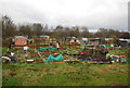 Allotments, Foresters Drive