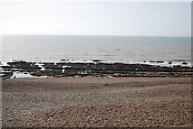 TQ8008 : Rocks uncovered at Low Tide, St Leonards by N Chadwick