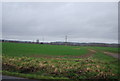 Farmland near East Peckham