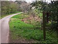 Sandy Lane looking east from decorated footpath sign