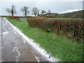 Aftermath of a hailstorm on Wenlock Edge