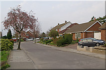 TQ4563 : Glentrammon Avenue by Ian Capper