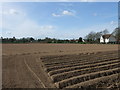 TM0529 : Newly Ploughed Field Near Ardleigh by PAUL FARMER