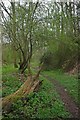 Footpath to Oaklands