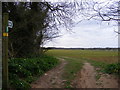 Footpath to Cundle Green Lane (U2332)