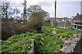 The view downstream from the original bridge on Tews Lane