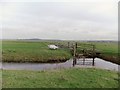 TQ7577 : A remote spot on the marshes north of Ryestreet - and a missing link by Stefan Czapski