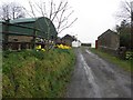 Country road at Tattysallagh