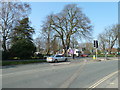 Car at the top end of Palmerston Road