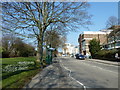 Bus shelter in East Park Terrace