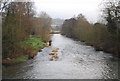 SO4073 : River Teme downstream from Leintwardine Bridge by N Chadwick