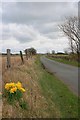 Road to Kirkham Yard Farm