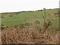 Moorland near St Lukes