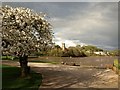 Mill pool and church, Stoke Gabriel