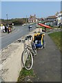 Late March at Freshwater Bay (d)