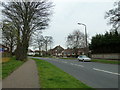 Grass verge in Rectory Road