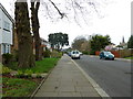 Pavement in St Lawrence Avenue