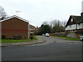 Looking from St Lawrence Avenue into Bishop