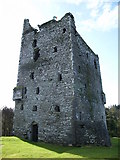W2850 : Ballynacarriga Castle by dougf
