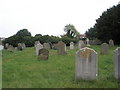 A guided tour of Broadwater & Worthing Cemetery (110)