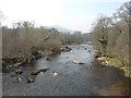 River Usk, Coed-yr-Ynys