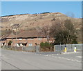 Corner of Blaenrhondda Road and St Alban