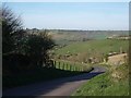 Dickley Hill: the road down to Cerne Abbas (Cerne Giant just visible...)