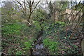 The view upstream from a footpath near Hornbeam Hollow