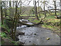 The river Clywedog at Erddig