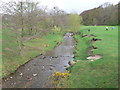 The river Clywedog flowing through Erddig park