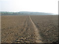 Footpath to Free Down Wood