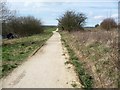 Perimeter path, Scout Dike reservoir