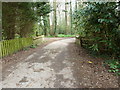 Bridge over stream on what was once Fryern Hall land