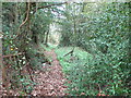 Footpath down to Esclusham Farm from Smithy Lane