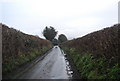 SO3873 : Lane in the Teme valley west of Buckton by N Chadwick