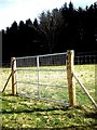 NO7296 : Gate in a deer fence by Stanley Howe