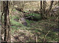 Footbridge over a brook