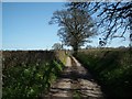 Lane at Hell Corner (no through road)