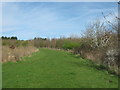 Footpath in Bloors Lane Community Woodland