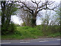 Footpath to Sandy Lane