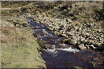 SD5548 : The River Calder by Tom Richardson