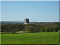 Fields, plantation and tower block