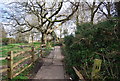 Footpath by Church Wood Drive