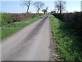 Ings Lane near Spaldington