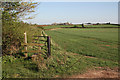 Footpath from Ladywood Lane