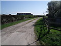 Farm track, Gribthorpe