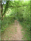 SY7894 : Path north of Tolpuddle by ad acta