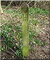 Trail marker