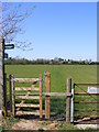 Footpath to the B1438 Main Road