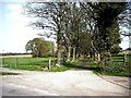 An avenue leading to Proctor